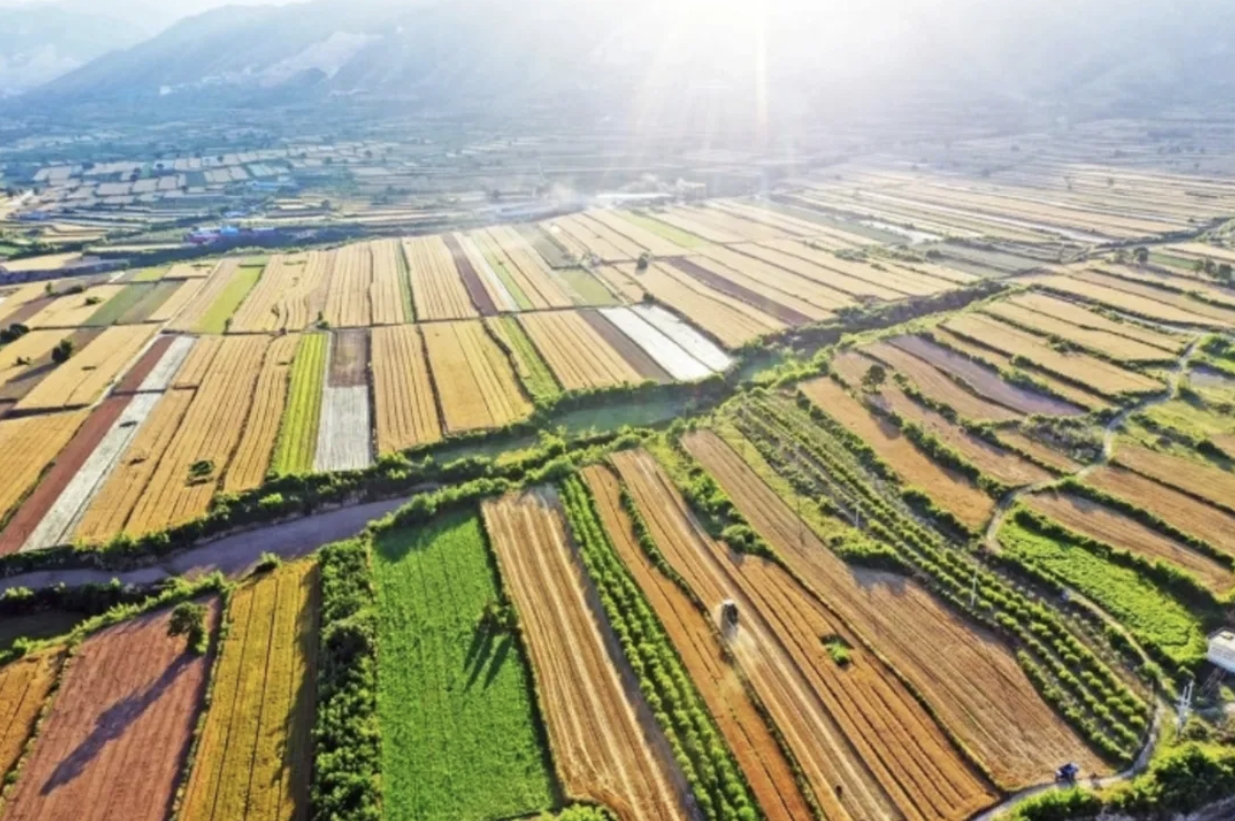 e74d63eb4aa044c8b8dcaf7d1891c65e.png e74d63eb4aa044c8b8dcaf7d1891c65e.png