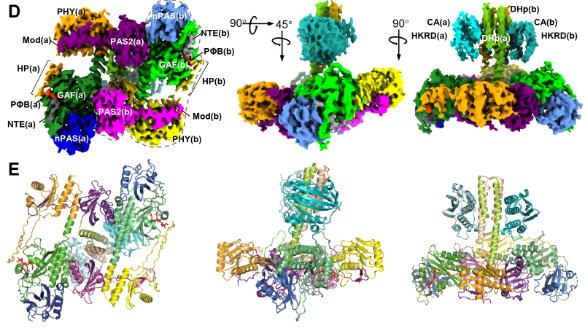 6e71dd7472b5489ea2fe3e1cf0b86d38.png 6e71dd7472b5489ea2fe3e1cf0b86d38.png