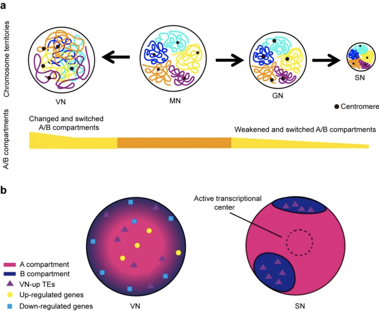 7903435b37874ce9803f24ba9ddfe47a.png 7903435b37874ce9803f24ba9ddfe47a.png