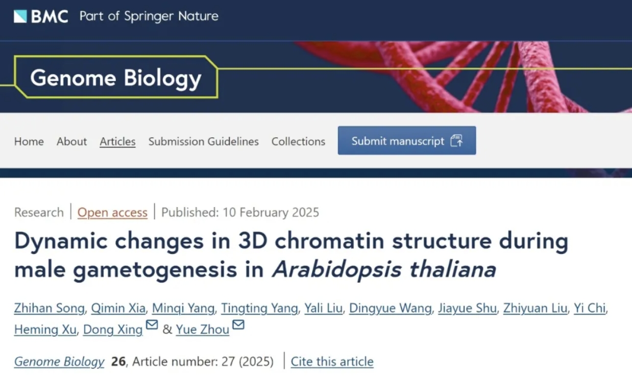 bc528ab4759a40fb91112776d0fc8378.png bc528ab4759a40fb91112776d0fc8378.png