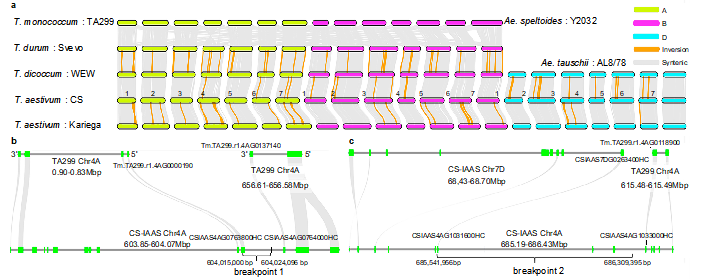 79b844c27ec545b99fdcc922ec4b9c5b.png 79b844c27ec545b99fdcc922ec4b9c5b.png