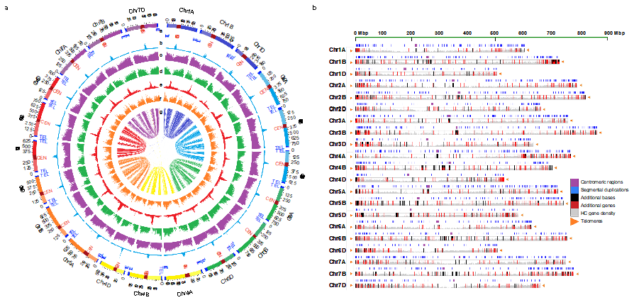 f6ec57b3f117494faf4fa7dfe3447f54.png f6ec57b3f117494faf4fa7dfe3447f54.png