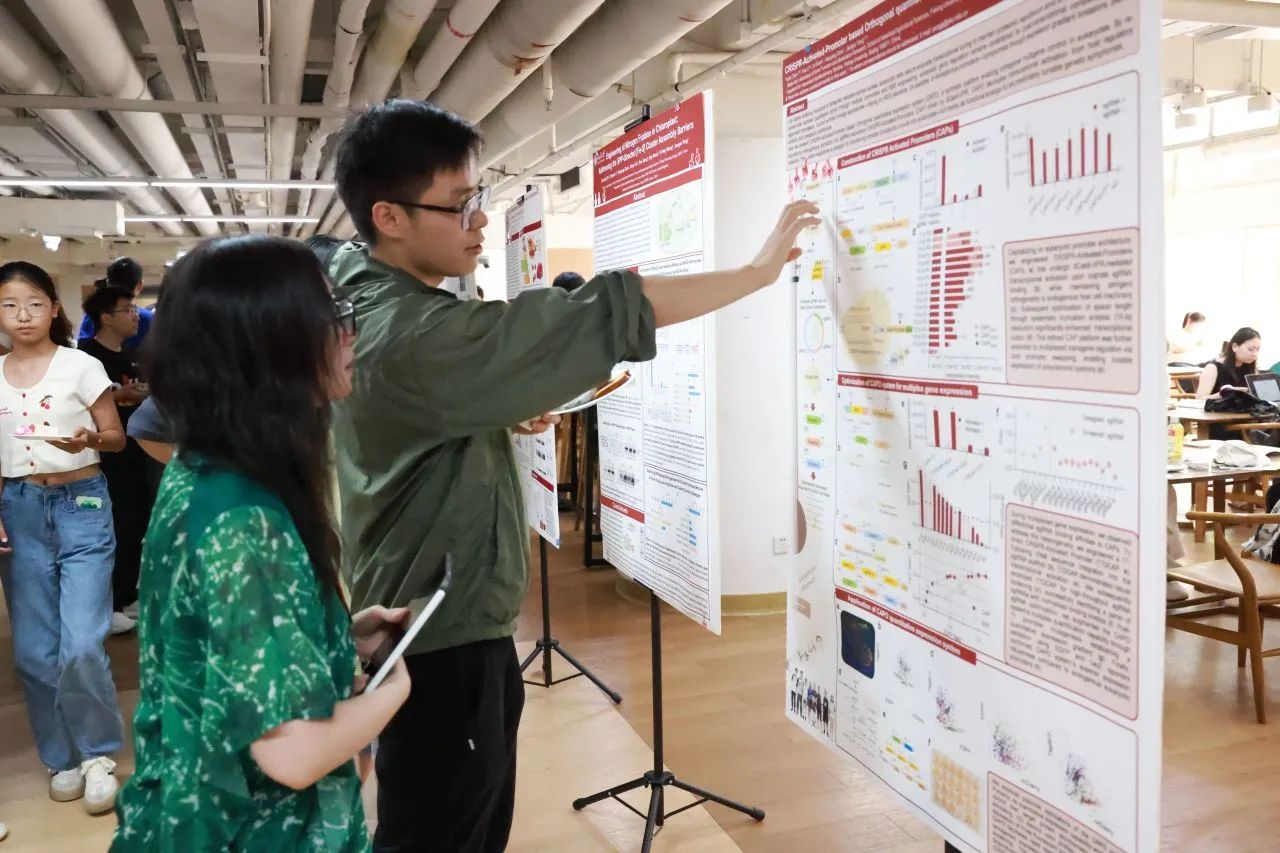 b93bb716f72a4061a608b7a5eeec4422.jpg b93bb716f72a4061a608b7a5eeec4422.jpg