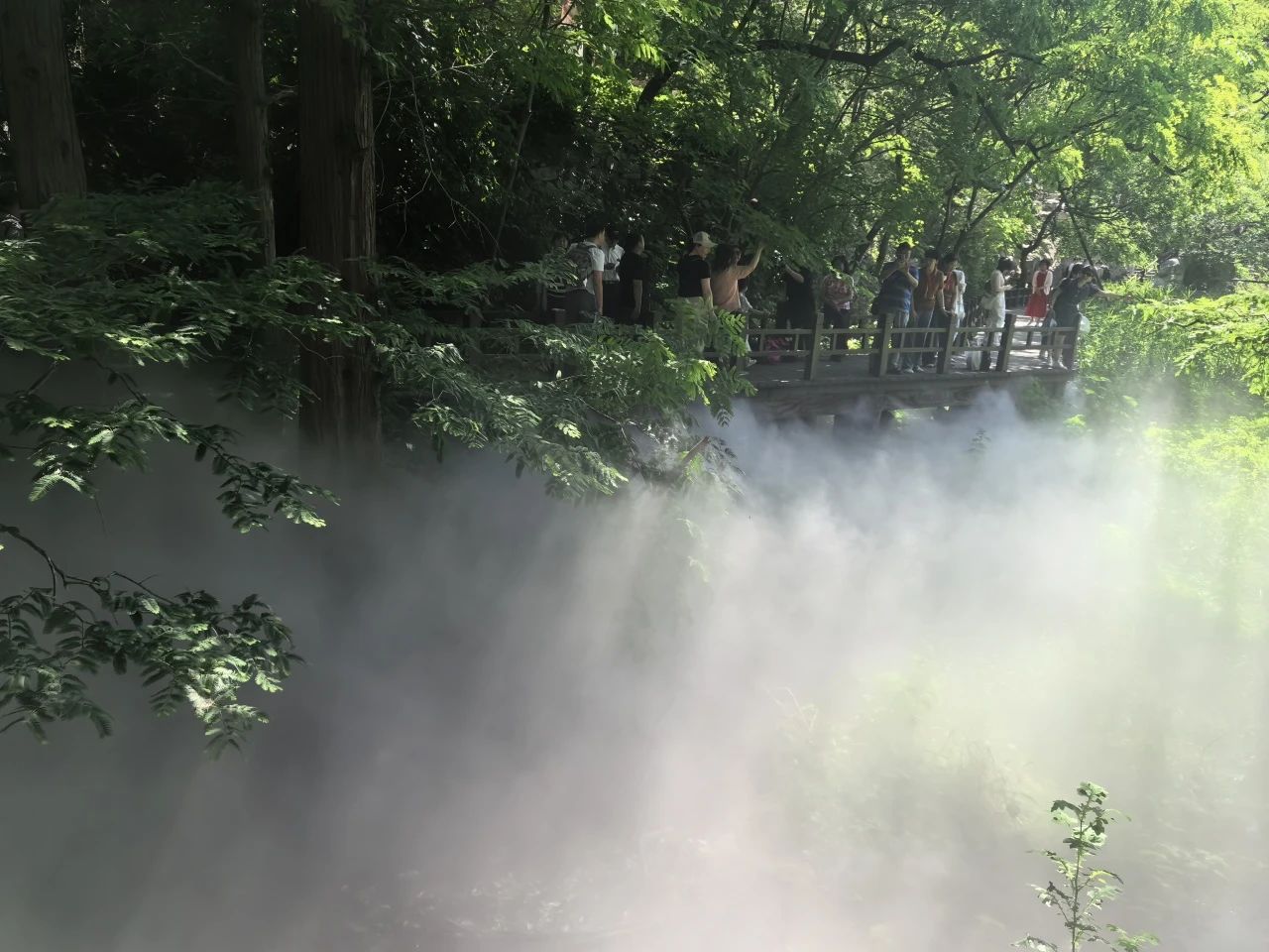 47dc72e6ff324dc7b1f350eea041a8a5.jpg 47dc72e6ff324dc7b1f350eea041a8a5.jpg